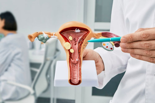 Obstetrics & Gynaecology