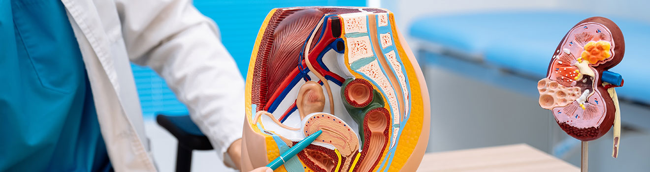 Urology - Balaji Healthcare